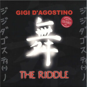 Gigi D'Agostino – The Riddle