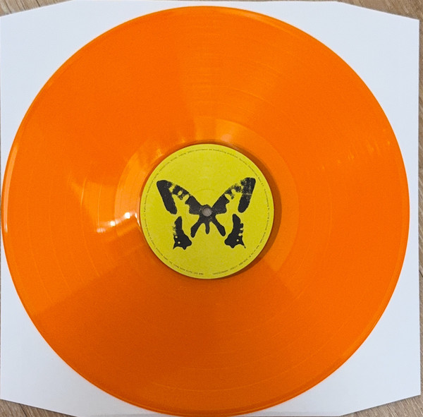 Taylor Acorn – Poster Child - Imagen 3