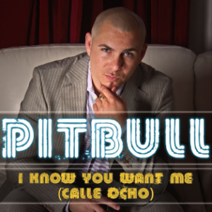 Pitbull – I Know You Want Me (Calle Ocho)