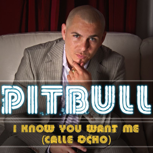 Pitbull - I Know You Want Me (Calle Ocho)
